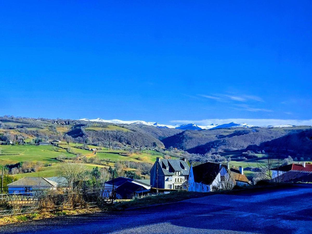 Gites Puy Mary Et Puy Griou Saint-Cernin  エクステリア 写真